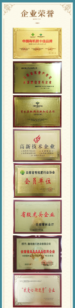企业荣誉