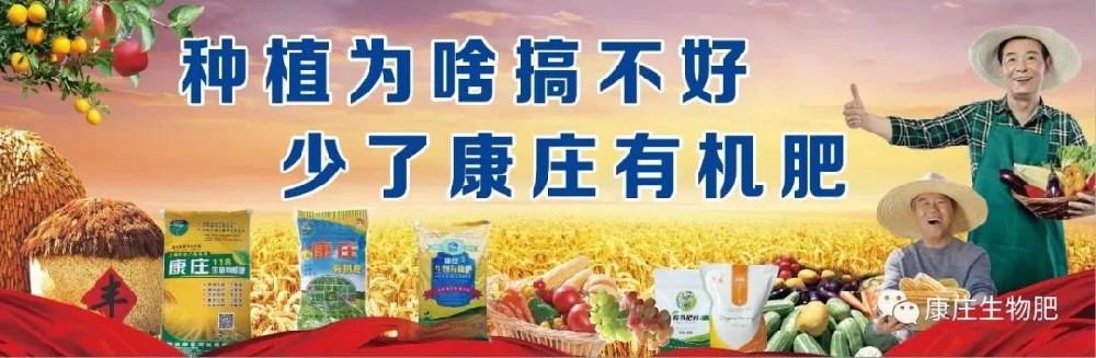 云南师范大学能环学院张勇教授率领专家团队到康庄肥业调研