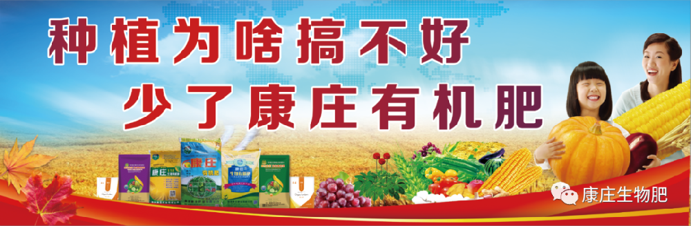 康庄肥业召开2025年员工代表工作会议暨迎新年会