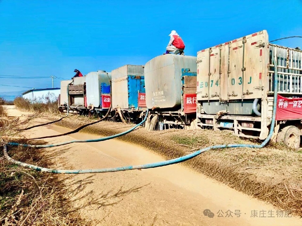 曲靖康庄肥业有限公司扎实推进沾益区2025年白水和盘江片区绿色种养循环农业试点项目